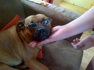 Now i have my glasses on i can see if Blissfully Clean have missed any dog hairs on my Sofa!