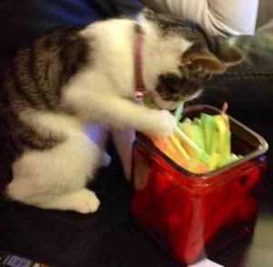 Ok its time to clean out the sweetie jar !