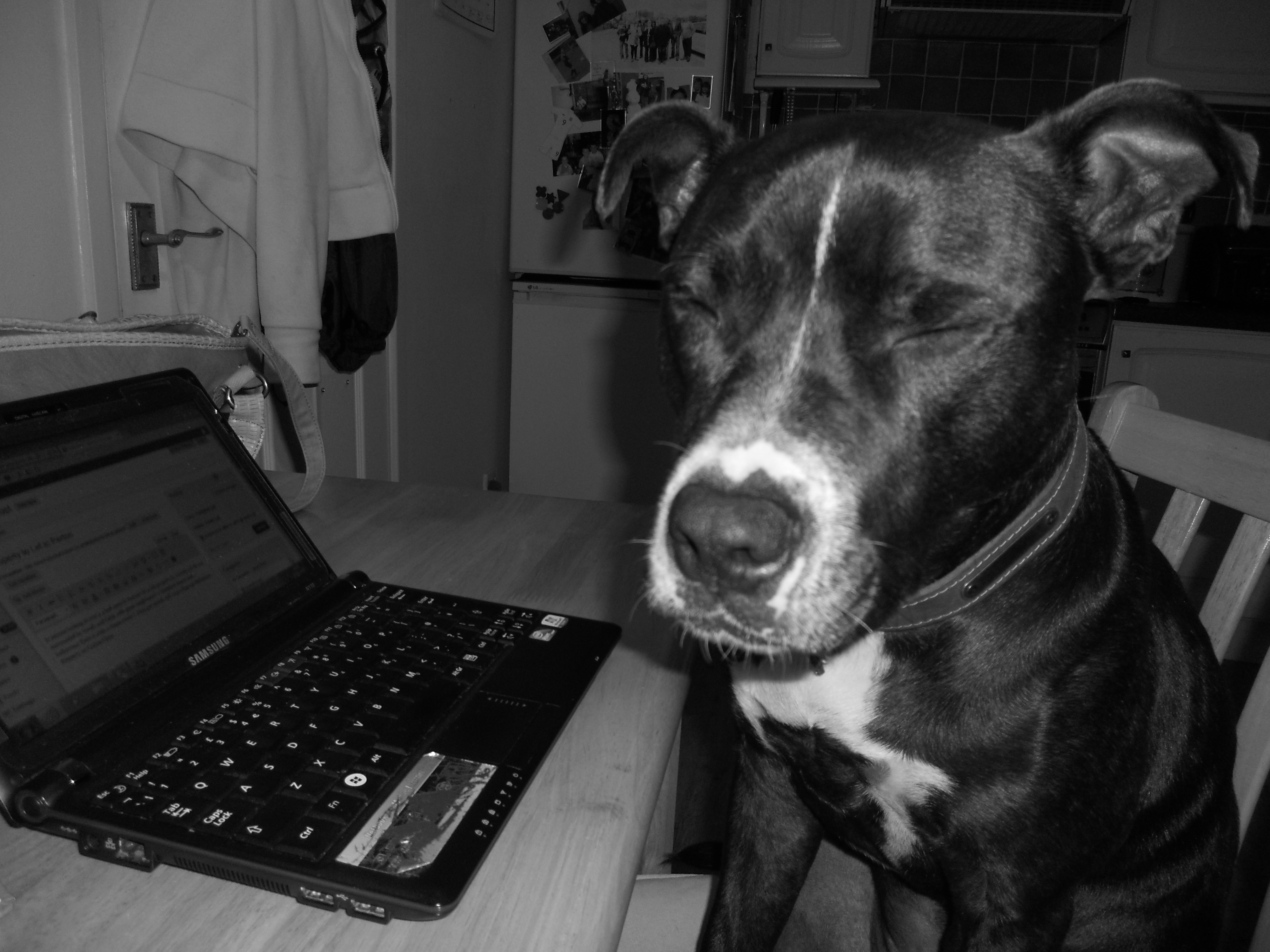 Blissfully Clean has been working their secretary too hard!!