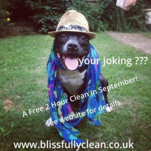 1006073_496840000398332_2038233048_n