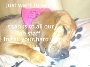 1170723_497030833712582_467979459_n