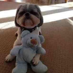 525257_429669623782037_253965525_n