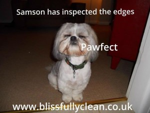 972334_500062526742746_13096103_n