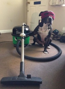 1385030_10151750232088481_1144085275_n